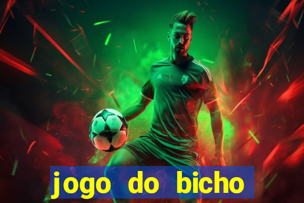 jogo do bicho crash bingo